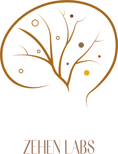 ZEHEN Labs